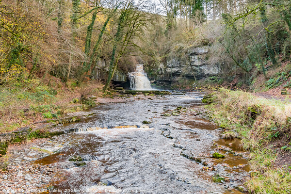 Cauldron Force Waterfall, Wensleydale (2) Picture Board by Richard Laidler