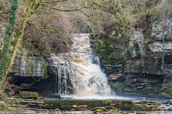 Cauldron Force Waterfall, Wensleydale (3) Picture Board by Richard Laidler