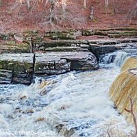 Buy canvas prints of Aysgarth Lower Falls, Yorkshire Dales by Richard Laidler