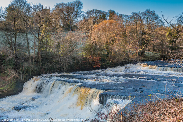 Aysgarth Middle Falls, Yorkshire Dales Picture Board by Richard Laidler