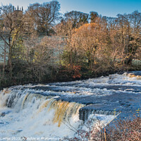 Buy canvas prints of Aysgarth Middle Falls, Yorkshire Dales by Richard Laidler
