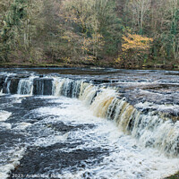 Buy canvas prints of Aysgarth Upper Falls, Yorkshire Dales by Richard Laidler