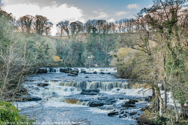 Aysgarth Upper Falls, Yorkshire Dales Picture Board by Richard Laidler