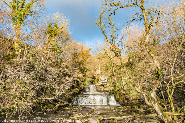 Cotter Force Waterfall, Wensleydale, Yorkshire Dales Picture Board by Richard Laidler