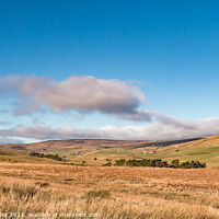 Buy canvas prints of Winter Sun on Harwood, Teesdale by Richard Laidler