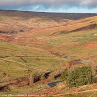 Buy canvas prints of Winter Sun in the Hudeshope, Teesdale by Richard Laidler