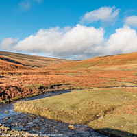 Buy canvas prints of Hudeshope Beck at Coldberry, Teesdale by Richard Laidler