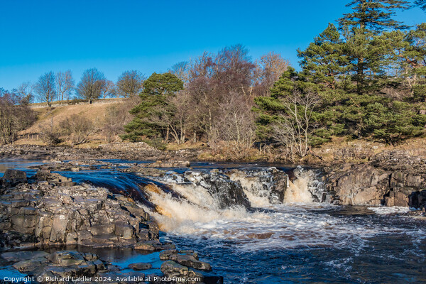 Icy River Tees at Low Force Waterfall Picture Board by Richard Laidler