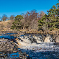 Buy canvas prints of Icy River Tees at Low Force Waterfall by Richard Laidler
