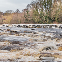 Buy canvas prints of Iced Tees at Demesnes Mill, Barnard Castle (1) by Richard Laidler