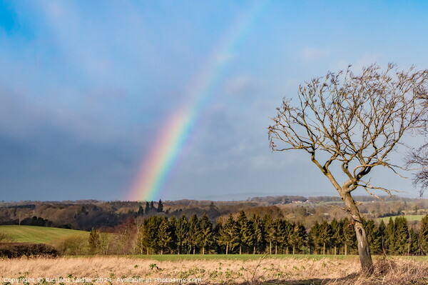 Westwick Rainbow  Picture Board by Richard Laidler