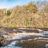 Buy canvas prints of Swollen River Tees at Whorlton by Richard Laidler