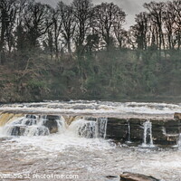 Buy canvas prints of Richmond Falls Panorama by Richard Laidler