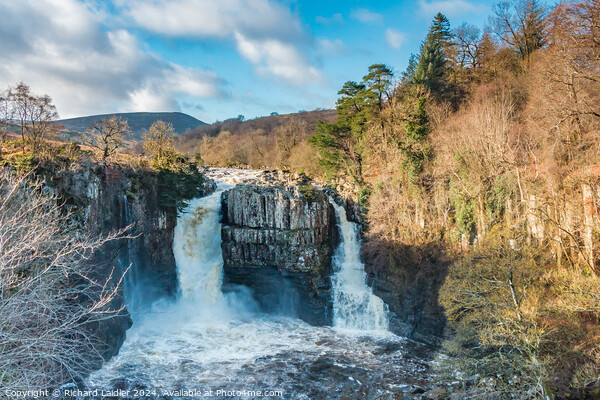 High Force Waterfall in Spate in January Sun Picture Board by Richard Laidler