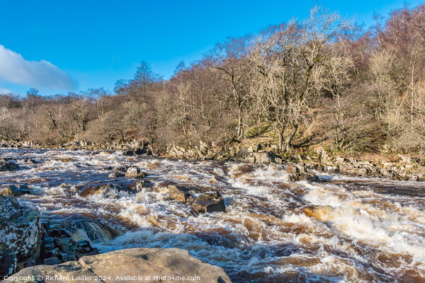 River Tees above High Force Picture Board by Richard Laidler