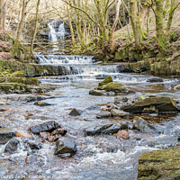 Buy canvas prints of Bow Lee Beck and Summerhill Force, Teesdale by Richard Laidler