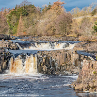 Buy canvas prints of Winter Sun on Low Force Waterfall, Teesdale by Richard Laidler