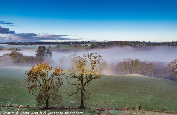 Misty Tees at Ovington Picture Board by Richard Laidler