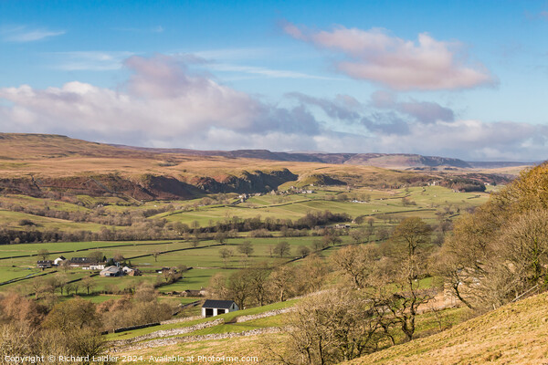 Across to Holwick from Middle Side, Teesdale Picture Board by Richard Laidler