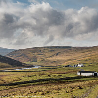 Buy canvas prints of Towards Widdybank Farm, Upper Teesdale by Richard Laidler
