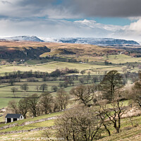 Buy canvas prints of Holwick and Cronkley from Middle Side, Teesdale by Richard Laidler