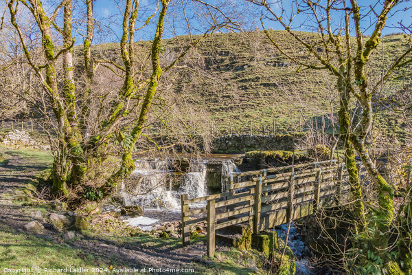 Footbridge and Waterfall on Ettersgill Beck, Teesdale Picture Board by Richard Laidler