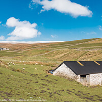 Buy canvas prints of High Beck Head Farm, Teesdale (1) by Richard Laidler