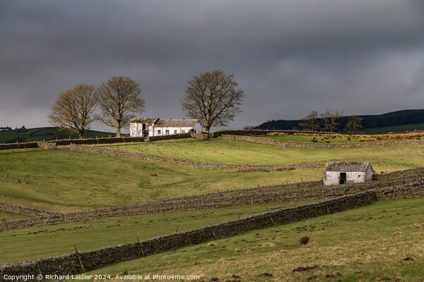 Another Barn in the Spotlight, Bowlees, Teesdale ( Picture Board by Richard Laidler