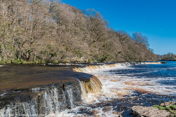 Whorlton Cascades in Spring Sunshine Picture Board by Richard Laidler