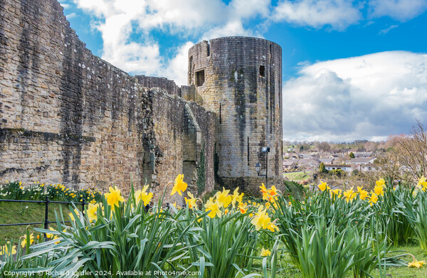 Barnard Castle Spring Cheer Picture Board by Richard Laidler