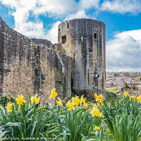 Buy canvas prints of Barnard Castle Spring Cheer by Richard Laidler