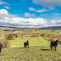 Buy canvas prints of The Bail Hill Trio by Richard Laidler