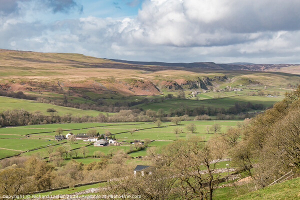 Towards Holwick from Middle Side, Teesdale Picture Board by Richard Laidler