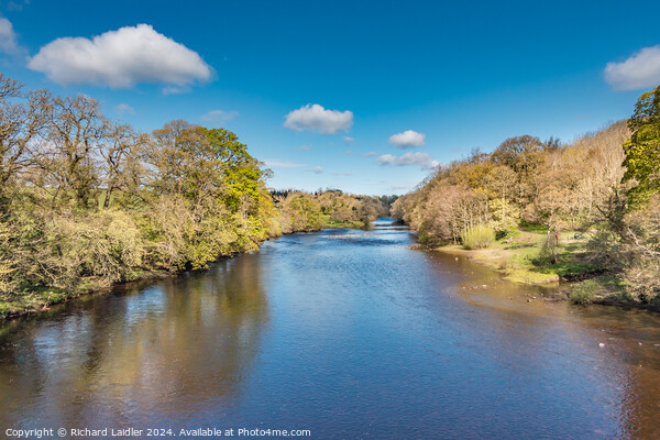 River Tees Upstream from Silver Bridge, Barnard Castle, Teesdale Picture Board by Richard Laidler