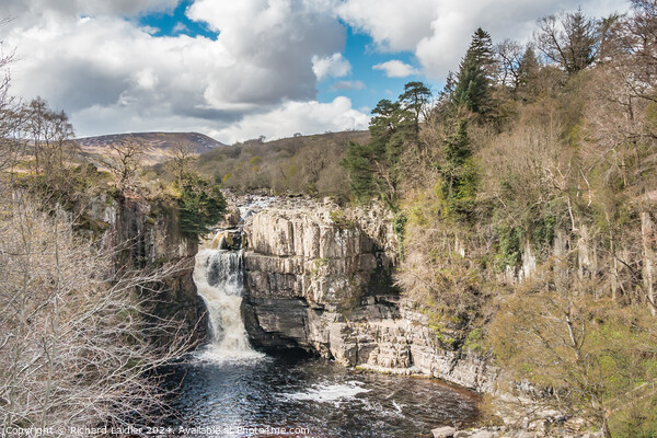 High Force Waterfall, Teesdale, in Spring sunshine Picture Board by Richard Laidler