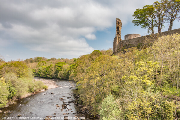 Barnard Castle and River Tees from County Bridge Picture Board by Richard Laidler