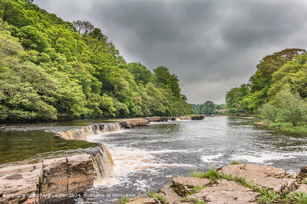 River Tees, Whorlton, Teesdale  Picture Board by Richard Laidler