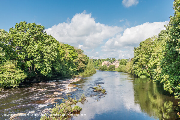Spring Morning on the River Tees from Demesnes Mill, Barnard Castle Picture Board by Richard Laidler
