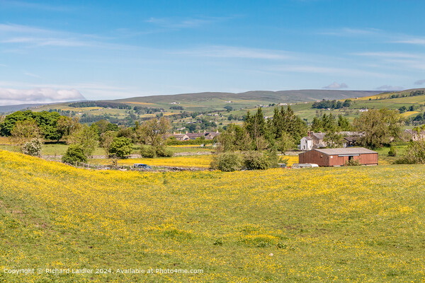Mickleton Buttercups Picture Board by Richard Laidler