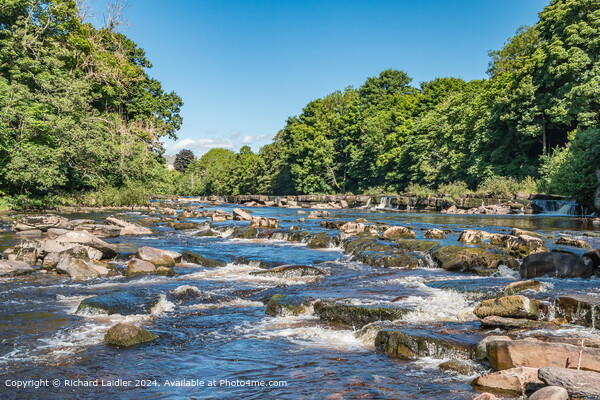 The River Tees at Demesnes Mill, Barnard Castle, Teesdale Picture Board by Richard Laidler