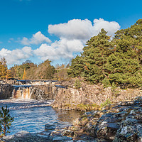 Buy canvas prints of Autumn at Low Force Waterfall, Teesdale, Panorama by Richard Laidler