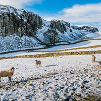 Buy canvas prints of Winter at Holwick Scar, Upper Teesdale by Richard Laidler