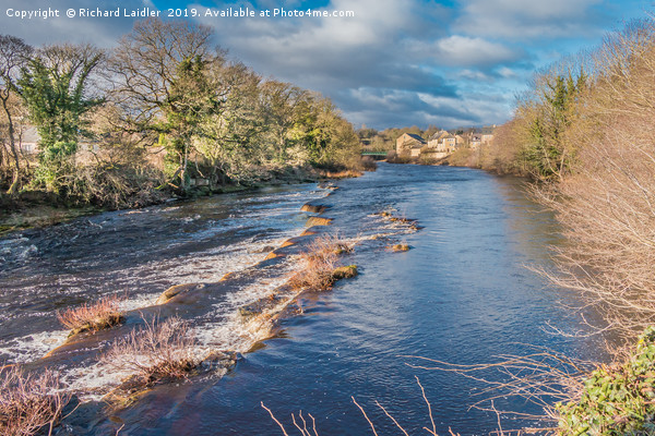 The River Tees from The Demesnes, Barnard Castle Picture Board by Richard Laidler