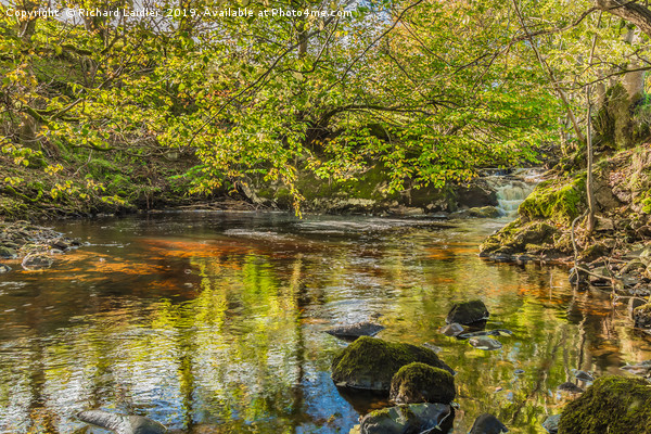 Tranquil Pool on Thwaite Beck, Swaledale Yorkshire Picture Board by Richard Laidler