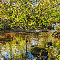 Buy canvas prints of Tranquil Pool on Thwaite Beck, Swaledale Yorkshire by Richard Laidler