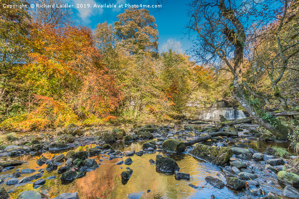 Autumn at Cotter Force Waterfall, Yorkshire Dales Picture Board by Richard Laidler