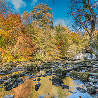 Buy canvas prints of Autumn at Cotter Force Waterfall, Yorkshire Dales by Richard Laidler