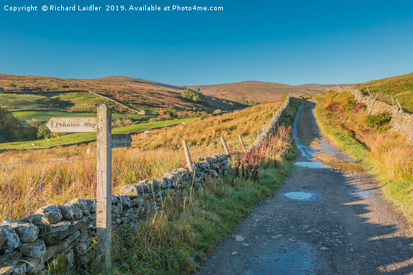 The Pennine Way towards Great Shunner Fell Picture Board by Richard Laidler