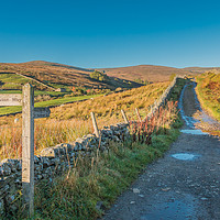 Buy canvas prints of The Pennine Way towards Great Shunner Fell by Richard Laidler