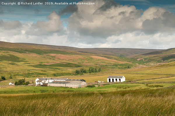 Middle End Farm, Upper Teesdale Picture Board by Richard Laidler
